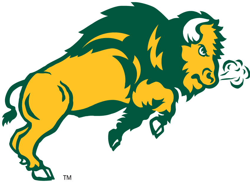North Dakota State Bison 2006-2011 Secondary Logo diy fabric transfer